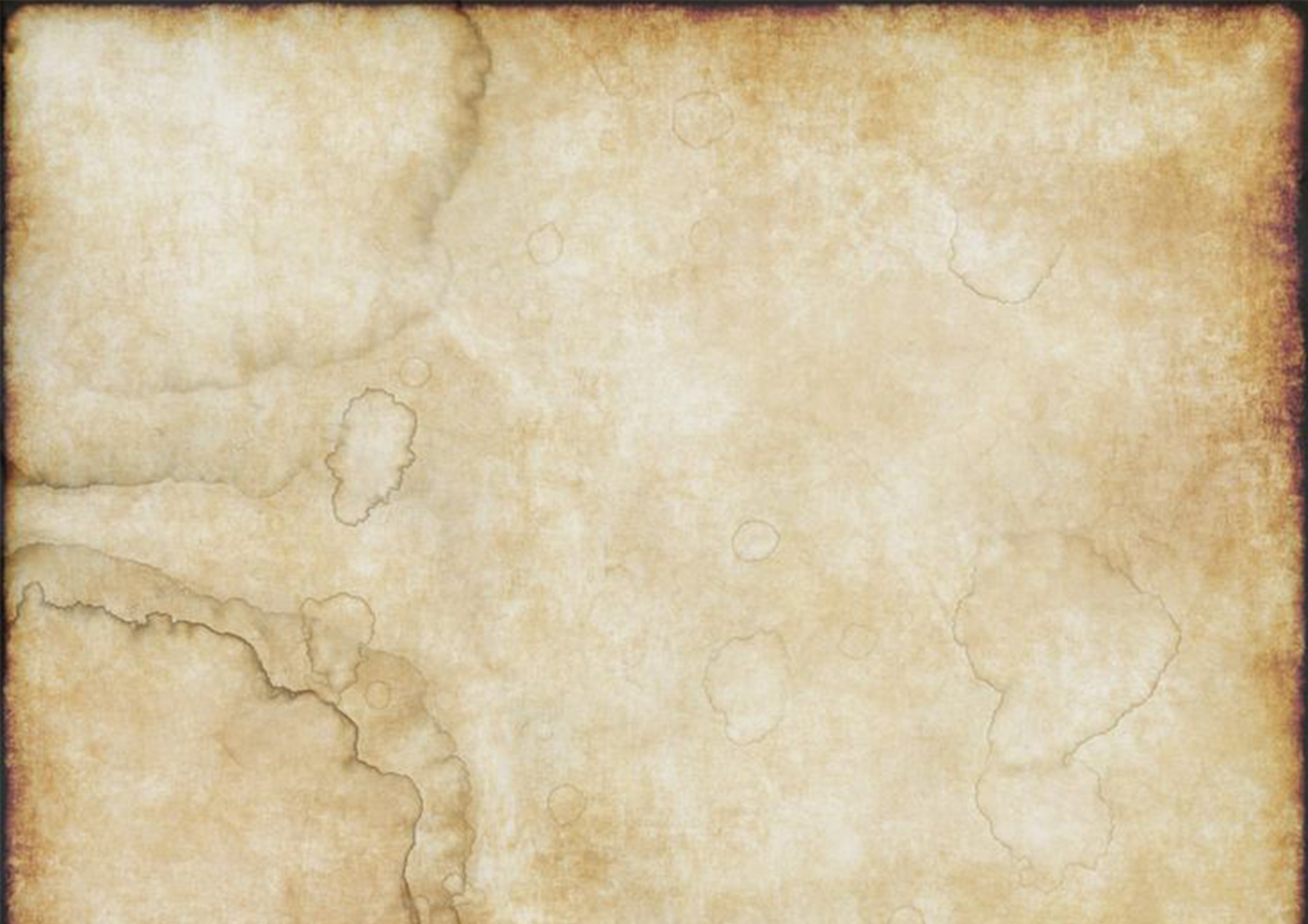 Svatební fotograf a kameraman Wolves Photographers